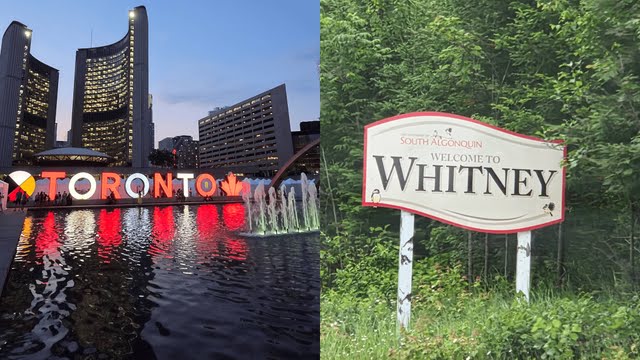 Toronto and Whitney Signs